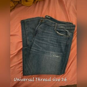 Universal Thread Women's Blue Skinny Jeans